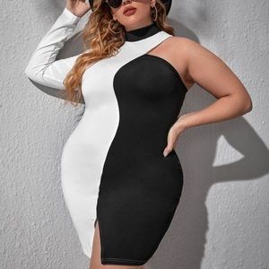 Fitted Color Block Body-con dress